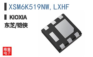 XSM6K519NW,LXHF